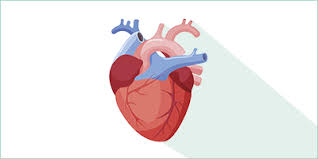 Ces horaires sont incorrects ? Accueil Cabinet De Cardiologie Brive Selarl Yadouleton