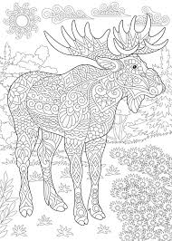 In this post, we'll show you how. Zentangle Moose Animal Stock Vector Illustration Of Character 123866257