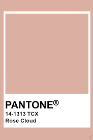 Pantone Rose Cloud In 2019 Pantone Colour Palettes