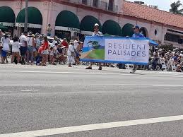 Melissa Toomim for Congress