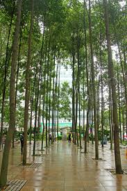 Choose among 2327 klcc park hotels in kuala lumpur. Mal7603 Park Near Klcc Expatgo
