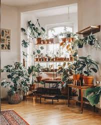Bohemian Latest And Stylish Home Decor Design And Ideas Plant Decor Indoor Room With Plants Trendy Home Decor