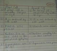 Inside this membrane the gelatinous matrix called protoplasm is seen to contain nucleus and other organelles which include the endoplasmic reticulum. What Is Difference Between Plant Cell And Animal Cell Brainly In