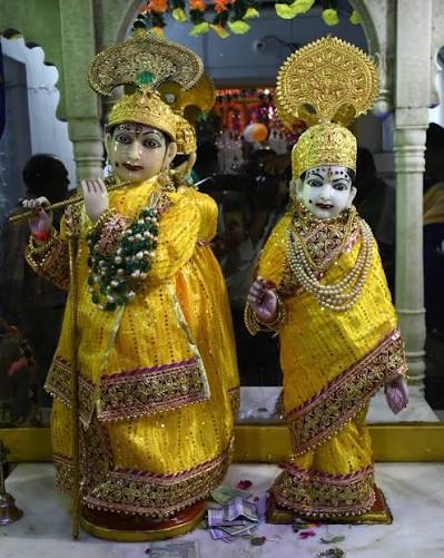 naidunia_image