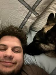 Anatolian shepherd hiding in owner's room