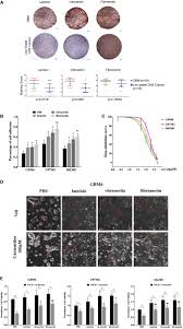 He is a chartered accountant graduated from london, uk in 1995 and. Frontiers Extracellular Matrix Proteins Confer Cell Adhesion Mediated Drug Resistance Through Integrin Av In Glioblastoma Cells Cell And Developmental Biology