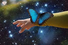 Maybe you would like to learn more about one of these? Butterflies In Dreams What S The Hidden Spiritual Meaning