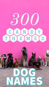 So why chose a food name for your dog? Candy Dog Names