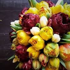 The uk is located right in the middle of the zone of moderate climate and its weather conditions are almost typical. British Grown Flowers Now Available At Fob Hq Flowers Of Bath