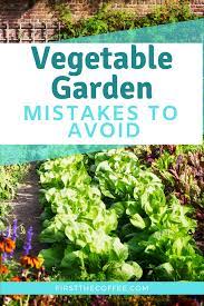 Vegetable Garden Mistakes To Avoid As A New Gardener Vegetable Garden For Beginners Gardening For Beginners Container Gardening Vegetables