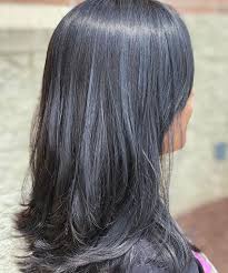 How to enhance asian hair with. 41 Beautiful Blue Black Hairstyles For Women 2020