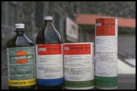 Prior to 1978, chlordane was used as a pesticide on agricultural crops, lawns, and gardens, and as a however, there may be potential for exposure to chlordane by individuals living near storage or. Greenpeace Chlordane Pesticide On Sale In Guernevaca Mexico