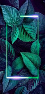 Abel Solorio (guso_97)