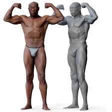 The anatomy and the location of the male reproductive system. Male 01 Anatomy Reference Pose 03