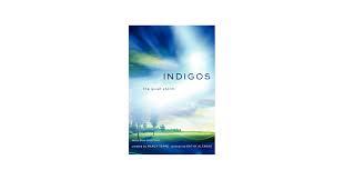 Image result for Indigo 1993 Astro