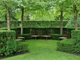 Hanya menanam pokok pokok dan pokok renek yang menghasilkan warna yang boleh dipercayai di mana sahaja mereka tumbuh. Pokok Pokok Renek Dan Bunga Dalam Reka Bentuk Landskap 77 Foto Komposisi Dengan Rybinolistnom Dan Tamarix Rowan Jus Dan Anggur Gadis