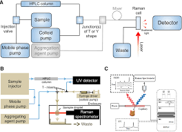 Hplc instruments consist of a reservoir of mobile phase, a pump, an injector, a separation column, and a detector. Combination Of Liquid Based Column Separations With Surface Enhanced Raman Spectroscopy Tycova 2019 Journal Of Separation Science Wiley Online Library