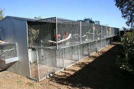Bird Aviary For Sale Nsw Conventional Suspended Aviarie Bird Aviary Pet Bird Cage Aviary