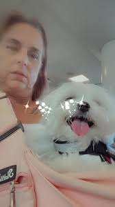 Paw Patrol The Movie/Diva Liberty Edit⚡🤎🐾.#Nickjr #PawPatrol #liberty  #pawpatrolliberty #libertyedit #pawpatrollove #pawlove