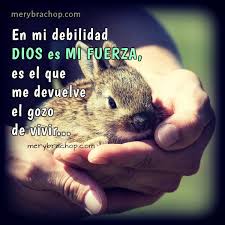 Las frases de fortaleza, así como las frases para personas que desean alcanzar el éxito, son mensajes que puedes utilizar cada día de tu vida para mejorar para esos momentos difíciles en los que sientes que todo se derrumba, elige y comparte alguna de las siguientes frases sobre la fortaleza. Frases Cristianas De Aliento Y Motivacion Para Amigos En Los Problemas Entre Poemas Cristianos Frases Vivencias Y Cumpleanos