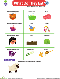 What Do Animals Eat 3 Worksheet Education Com Kindergarden Activities Preschool Activity Kindergarten Worksheets