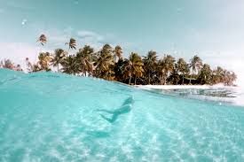 The skin of an eggplant is full of antioxidants, potassium and magnesium. The Complete Cook Islands Travel Guide Find Us Lost