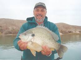 Arizona Game & Fish Department