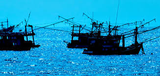 Overfishing The Most Serious Threat To Our Oceans Environmental Defense Fund