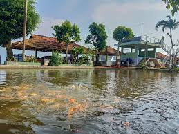 We did not find results for: Bukit Pandang Jatipohon Suguhkan Pemandangan City Light Purwodadi Grobogan Today