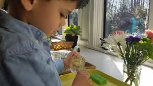 Fraser Woods Montessori School