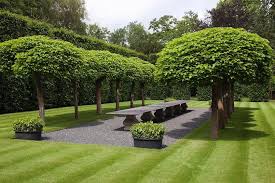 Anouska Hempel On Instagram The Cathedral Garden By Anouska Hempel See More Anouska Hempel Gardens At Www Anouskahempeldesign C Garden Garden Items Plants