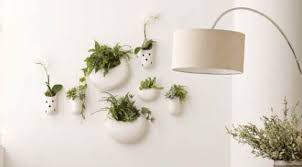 Perfect for both indoor and outdoor areas, a simple white or black planter is an easy way to spice up any room. Fab Finds West Elm Austin Interior Design By Room Fu Knockout Interiors