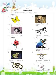 All species of animals are classed into two groups: Classify Animals With And Without A Backbone Pdf