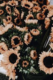 Are you looking for dreamy iphone wallpapers with clouds that will whisk you away from the stress of everyday life? Aesthetic Floral Wallpaper Victorian Design Floral Wallpapers Passion Flower Bradbury Bradbury