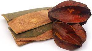 Arjuna tea is best heart tonic is a bark is an ayurvedic herb, its a bark of arjuna tree (terminalia arjuna). Terminalia Arjuna Arjun Bark Benefits Uses Dosage Side Effects