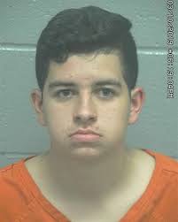 Affidavit: Driver who hit Lee High student is unlicensed