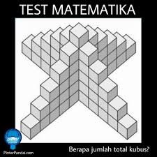 Contoh soal dan jabawan kubus berapa jumlah total kubus. Tes Matematika Kubus Berapa Jumlah Total Kubus Di Puzzle Ini