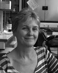 The xanthate route to tetralones, tetralins, and naphthalenes. A brief  account