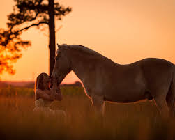 Horse stables in the garden colony near hustopece ať sunset, south moravia, czech republic. Wallpaper Girl And Horse At Sunset 1920x1200 Hd Picture Image