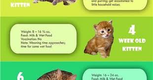 This tool provides an estimate only. Cat Growth Chart By Age Weight And Food Album On Imgur