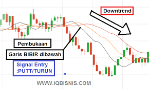 Strategi Rahasia Setting Indikator Alligator Paling Akurat Terbaik Profit Konsisten Iq Bisnis