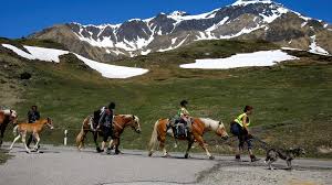 Plus d'informations disponibles ici mesures applicables en france & pass sanitaire Voyage Les Certificats Covid De L Union Europeenne Et De Suisse Reconnus Comme Equivalents Le Soir