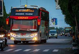 Pin Di Busmania