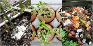 To use eggshells as fertilizer for your garden, all you have to do is let them dry and then grind them. 5 Reasons To Use Eggshells In The Garden The Thrifty Couple