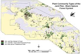 We did not find results for: Vegetation Classification Mapping And Monitoring At Voyageurs National Park Minnesota An Application Of The U S National Vegetation Classification