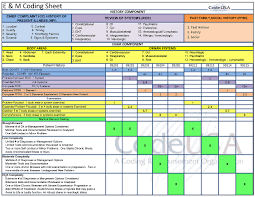 E M Spreadsheet Medical Coding Medical Billing Coding