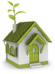 How To Make A Home Eco-Friendly, Green And Safe For Kids | Parentmap