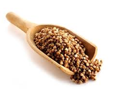Graine De Sarrasin De La Famille Des Cereales La Graine Germee De Sarrasin Est Aussi Appele Ble Noir Qui Nous Vien Sarrasin Graines Germees Recettes Crues