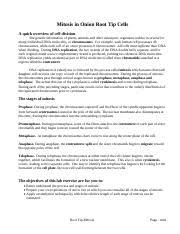 Check out my genetics , experiment , videos. Mitosis In Onion Root Cell Abegeya Tadese Biology 1st Period December 5 2016 Mitosis In Onion Root Tip Cells Purpose The Purpose Of This Lab Is To Course Hero