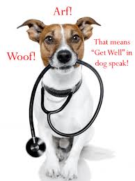 If your smart dog knows it's a recording, try standing at the door and knocking on it behind your. Dog Speak Funny Animal Get Well Card Birthday Greeting Cards By Davia